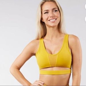 BuffBunny Yellow Sports Bra